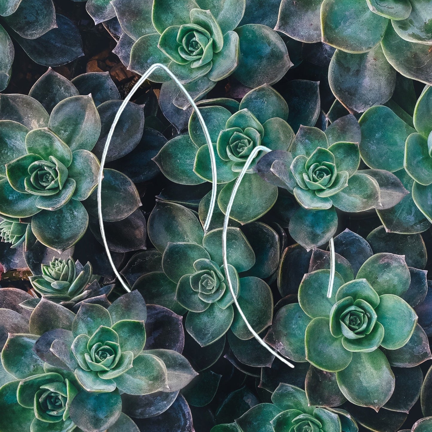 Simply silver open angular hoop